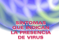 Sntomas de virus